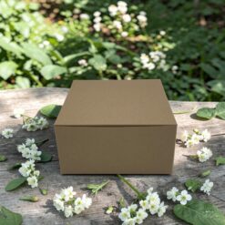 กล่องสแน็ค คราฟท์น้ำตาล แพค10ใบ(0637) ขนาด12.7x12.7x6.6 ซม.