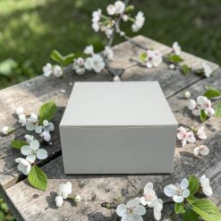 กล่องสแน็ค ขาวล้วน แพค10ใบ(0651) ขนาด12.7x12.7x6.6 ซม.